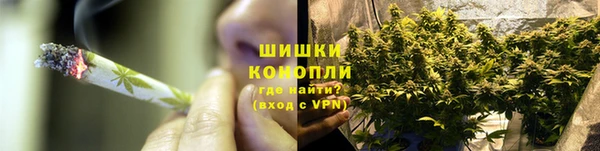 скорость Гусев
