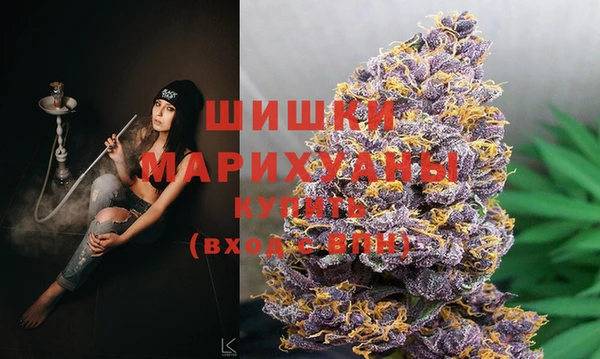 ешки Гусиноозёрск