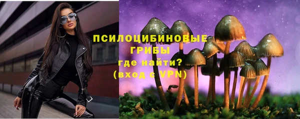 ешки Гусиноозёрск