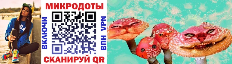 Купить закладки  Советская Гавань  Галлюциногенные грибы мицелий 